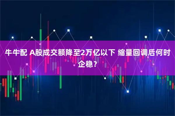 牛牛配 A股成交额降至2万亿以下 缩量回调后何时企稳？