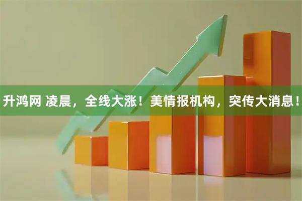 升鸿网 凌晨，全线大涨！美情报机构，突传大消息！