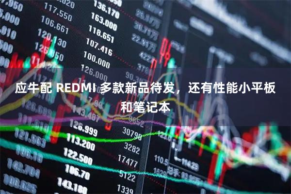 应牛配 REDMI 多款新品待发，还有性能小平板和笔记本