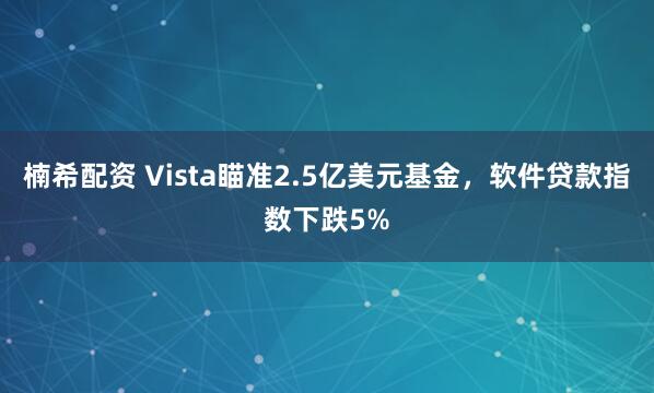 楠希配资 Vista瞄准2.5亿美元基金，软件贷款指数下跌5%