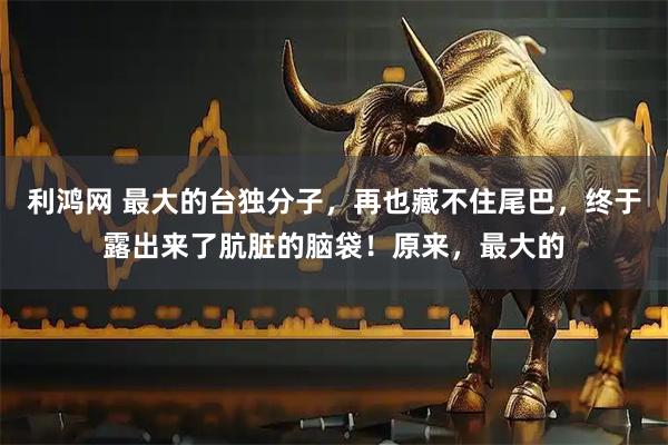 利鸿网 最大的台独分子，再也藏不住尾巴，终于露出来了肮脏的脑袋！原来，最大的